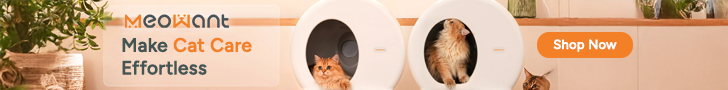 meowant-review-smart-solutions-for-modern-cat-care